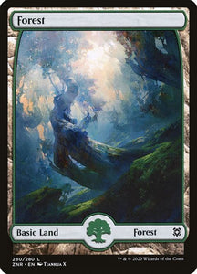 280-forest