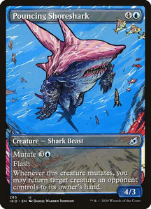 285-pouncingshoreshark