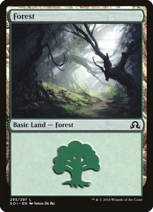 295-forest
