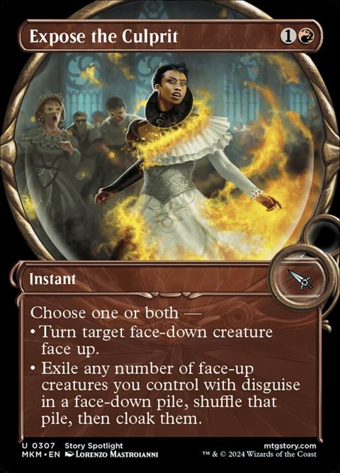 307-exposetheculprit