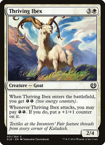 31-thrivingibex