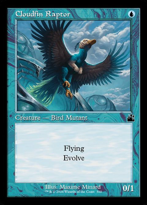 310-cloudfinraptor