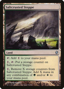 316-saltcrustedsteppe