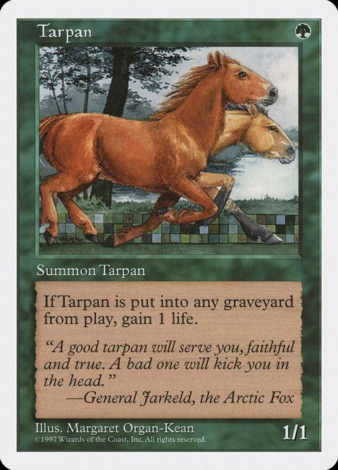 330-tarpan