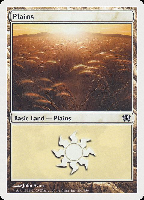 333-plains