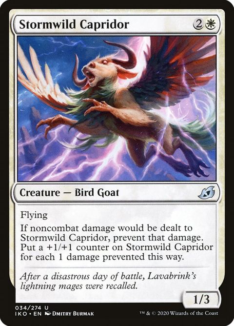 34-stormwildcapridor