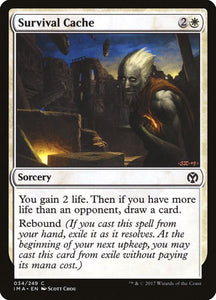 34-survivalcache