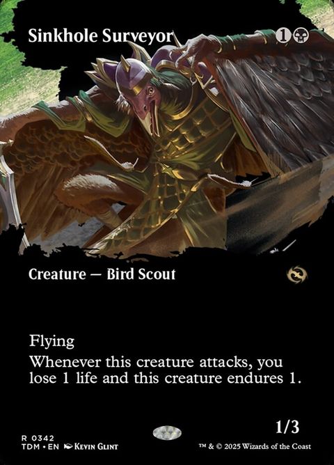 342-sinkholesurveyor