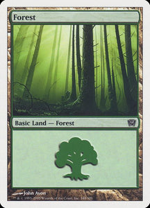 348-forest
