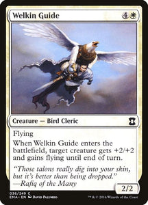 36-welkinguide