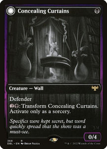 368-concealingcurtainsrevealingeye