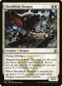 37-shieldhidedragon