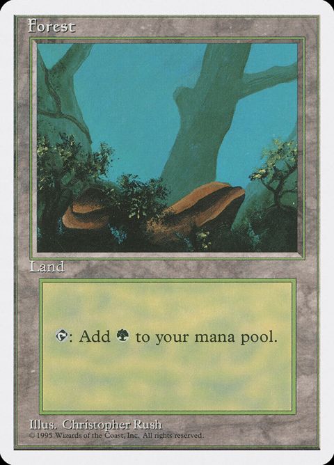 376-forest