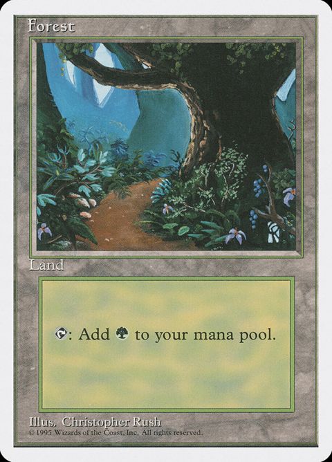 377-forest