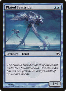 38-platedseastrider