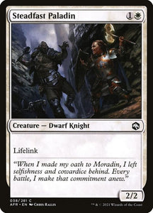 38-steadfastpaladin