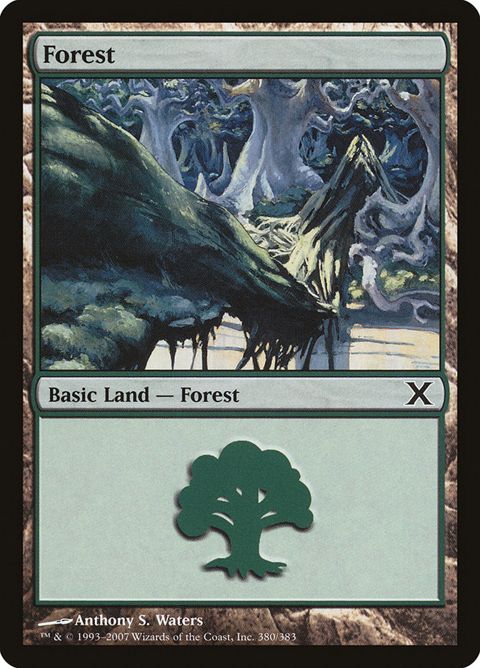 380-forest
