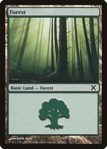 381-forest