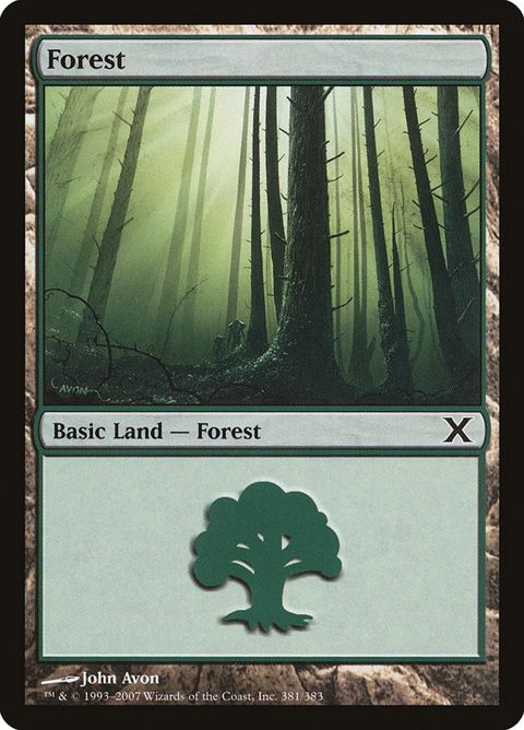 381-forest