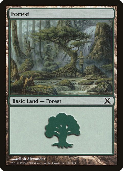 382-forest
