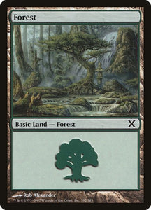 382-forest