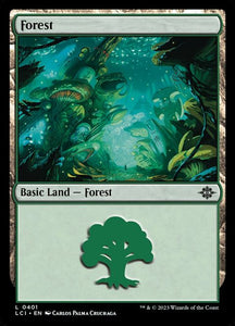 401-forest