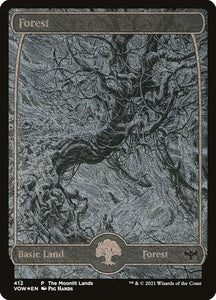 412-forest