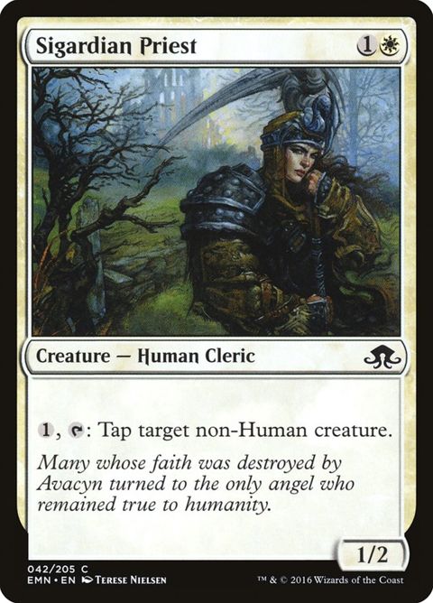42-sigardianpriest