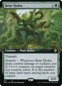 427-briarhydra