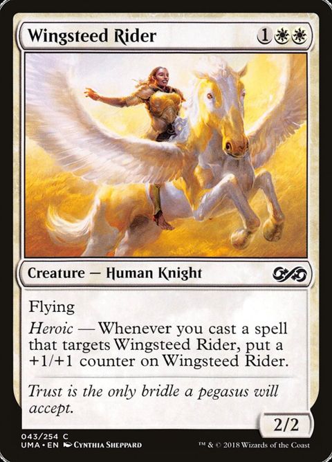 43-wingsteedrider