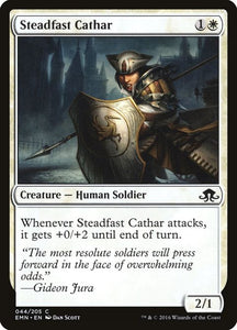 44-steadfastcathar