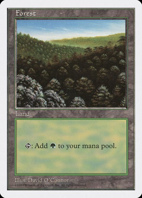 446-forest