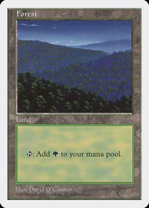447-forest