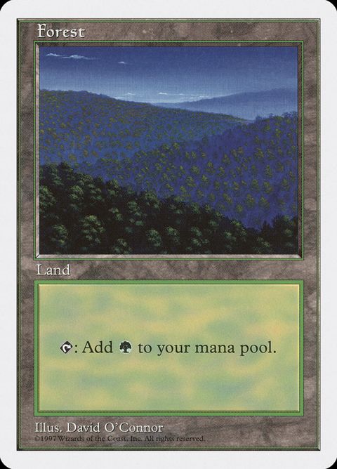 447-forest