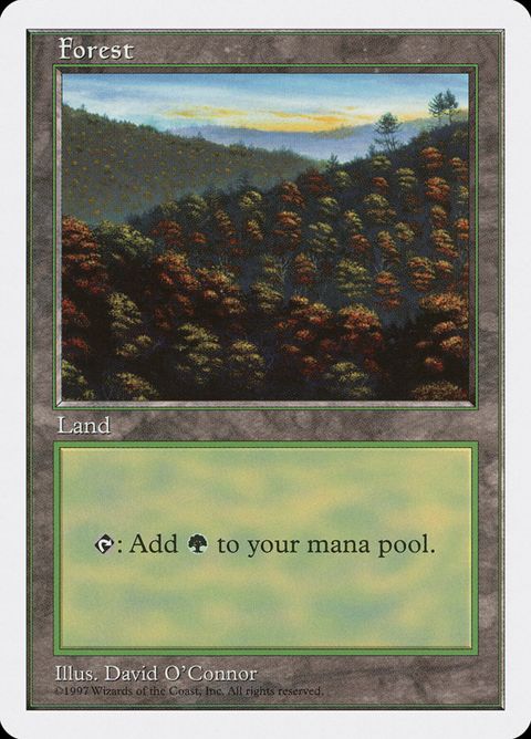 448-forest