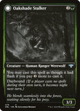 479-oakshadestalkermoonlitambusher
