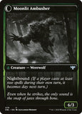 479-oakshadestalkermoonlitambusher