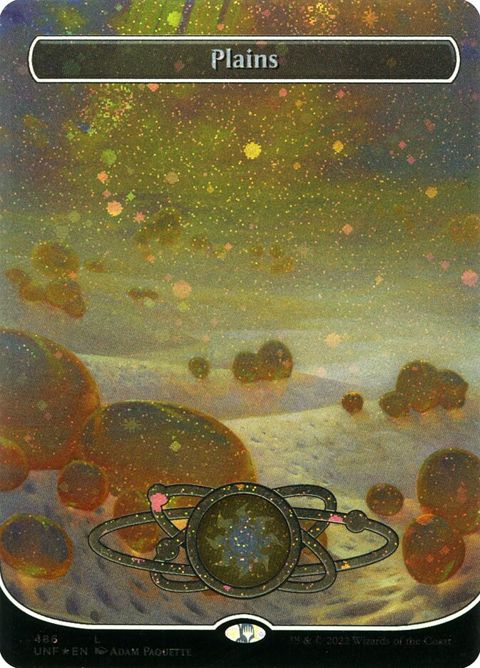 486-plains