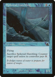 49-spiketailhatchling