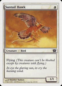 49-suntailhawk