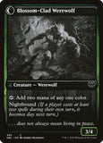 493-weaverofblossomsblossomcladwerewolf
