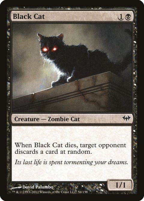 54-blackcat