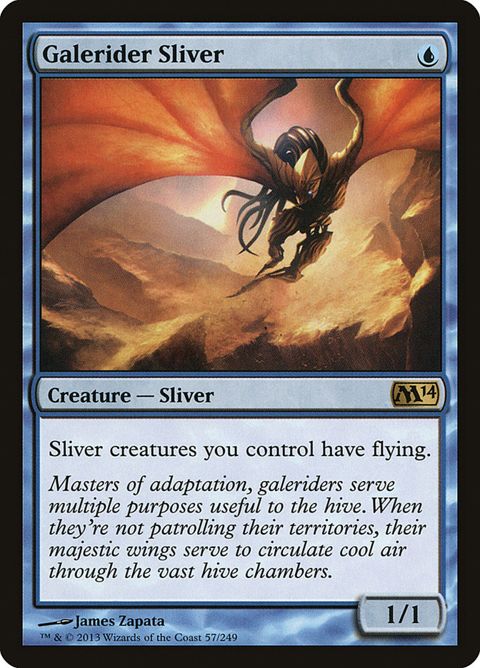 57-galeridersliver