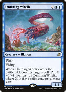 62-drainingwhelk