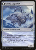 63-grizzledanglergrislyanglerfish