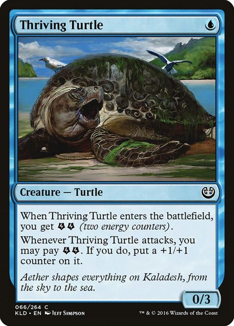 66-thrivingturtle