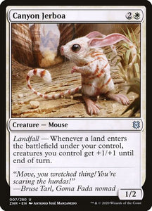 7-canyonjerboa