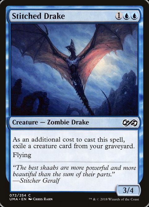 72-stitcheddrake
