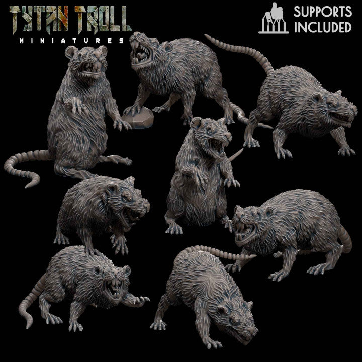 Giant Rat Set