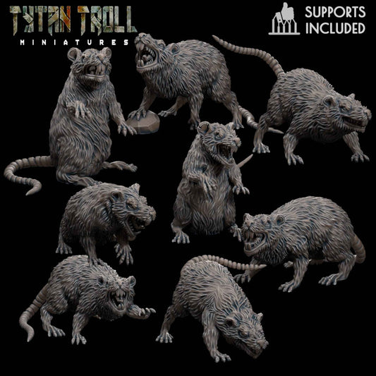 Giant Rat Set